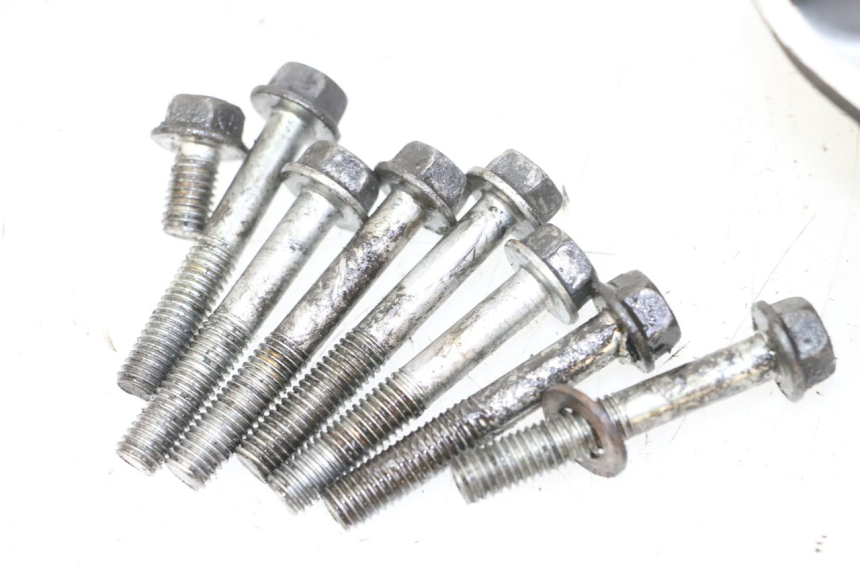 photo de CARCAÇA DE TRANSMISSÃO DA RODA HONDA FES S-WING SWING ABS 125 (2007 - 2015) - Estado da superfície