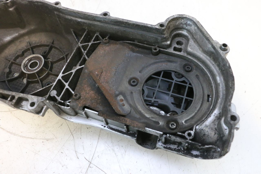 photo de TAMPA DO VARIADOR PIAGGIO MP3 RL 250 (2006 - 2010) - Detalhe da peça