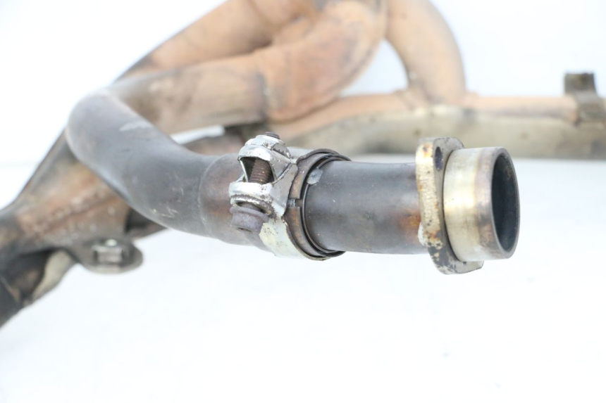 photo de COLETOR SUZUKI SV S 650 (2003 - 2009) - Detalhes característicos