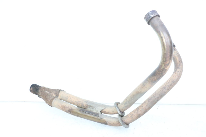 photo de COLETOR YAMAHA XJN DIVERSION 600 (2000 - 2003) - Vista principal
