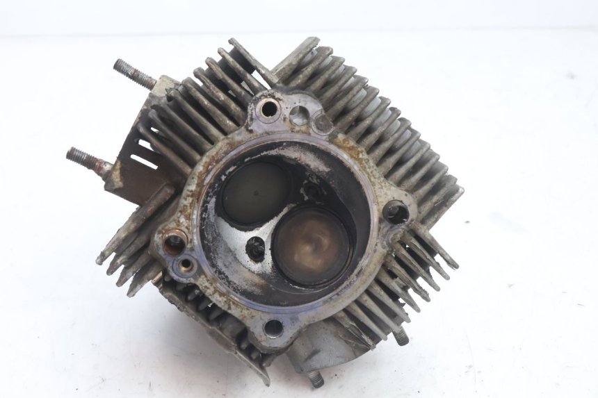 photo de CABEÇOTE DIANTEIRO DUCATI SS IE DS CARENEE 1000 (2002 - 2006) - Vista geral
