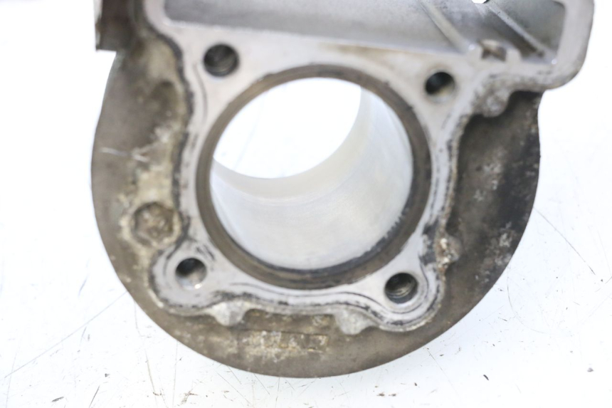 photo de PISTÃO DO CILINDRO JM MOTORS F45i 4T 50 (2020 - 2023) - Peça verificada