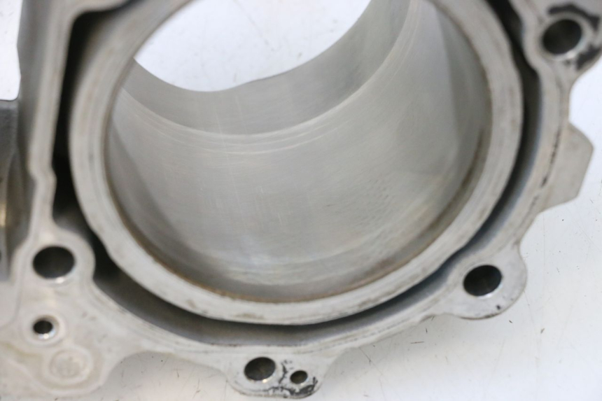 photo de PISTÃO DO CILINDRO CAN-AM SPYDER RS 1000 (2008 - 2012) - Peça verificada