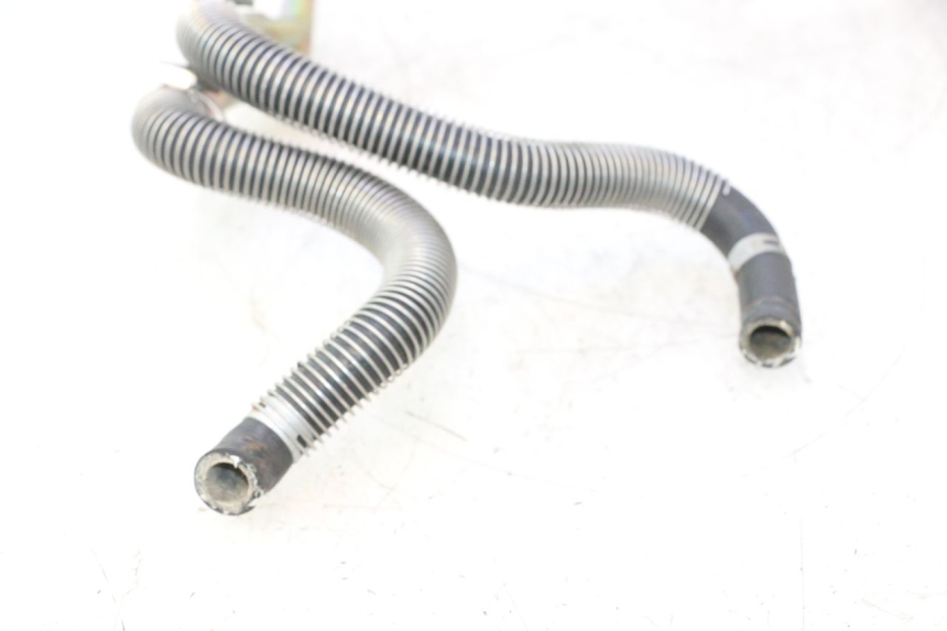 photo de MANGUEIRA DO RADIADOR HONDA SH 125 (2001 - 2003) - Peça verificada