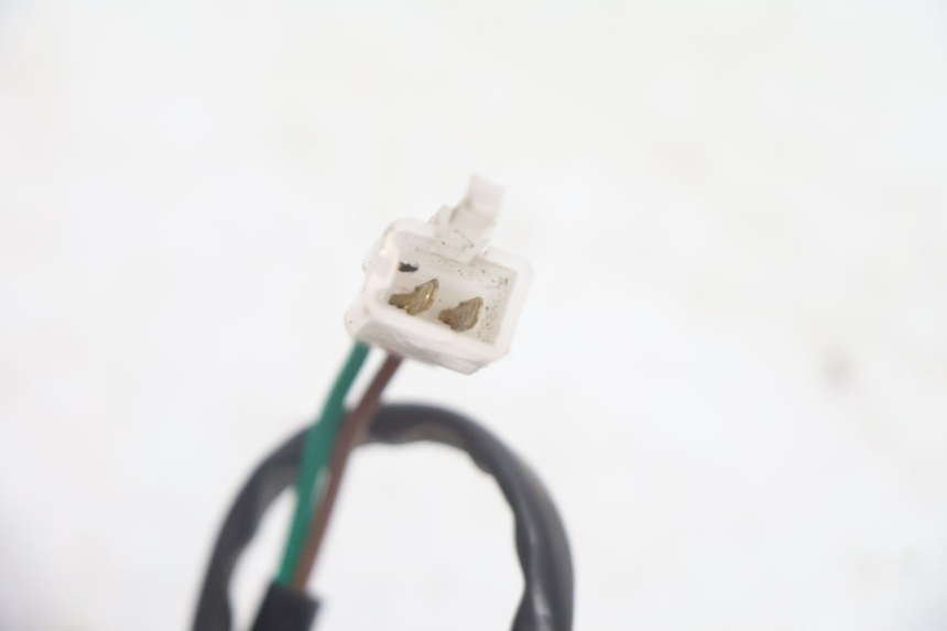 photo de ILUMINAÇÃO DE PLACA JM MOTORS EVOLIS 4T 50 (2018 - 2022) - Ampliação técnica
