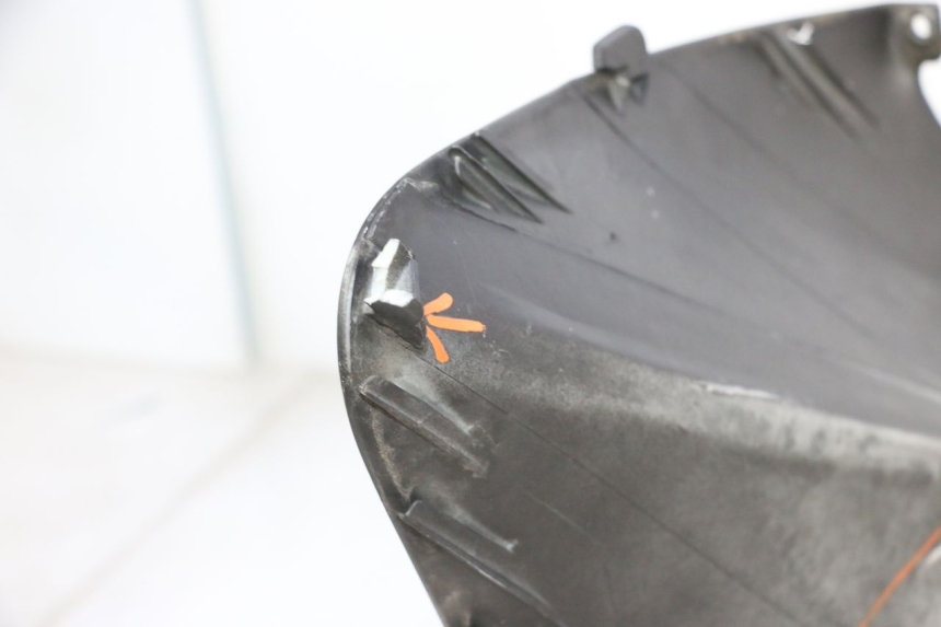 photo de FRENTE PIAGGIO MP3 RL 250 (2006 - 2010) - Detalhe da peça