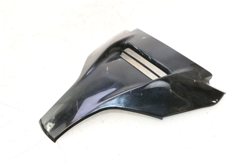 photo de FACE FRONTAL SUPERIOR SUZUKI BURGMAN EXECUTIVE ABS 650 (2006 - 2012) - Estado da superfície