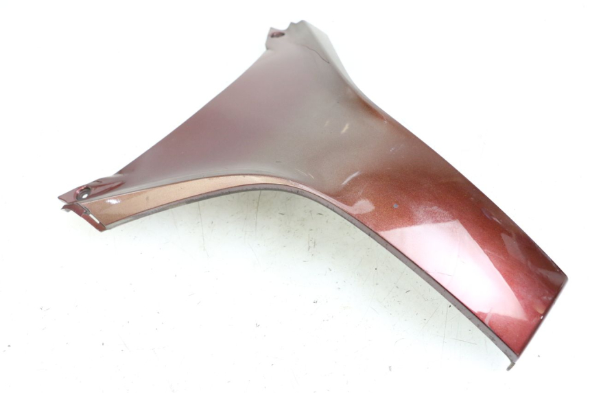 photo de PARTE FRONTAL SUPERIOR HONDA FES S-WING SWING ABS 125 (2007 - 2015) - Vista principal