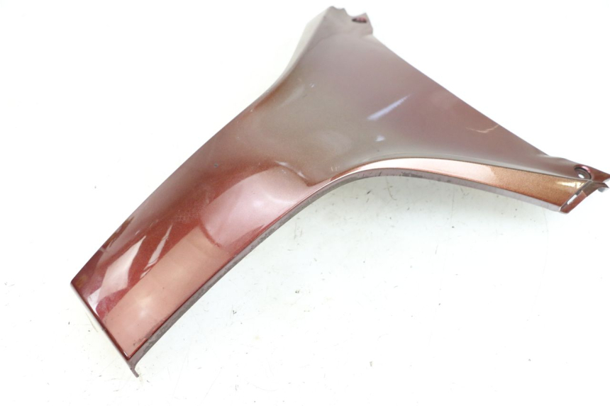 photo de PARTE FRONTAL SUPERIOR HONDA FES S-WING SWING ABS 125 (2007 - 2015) - Ampliação técnica