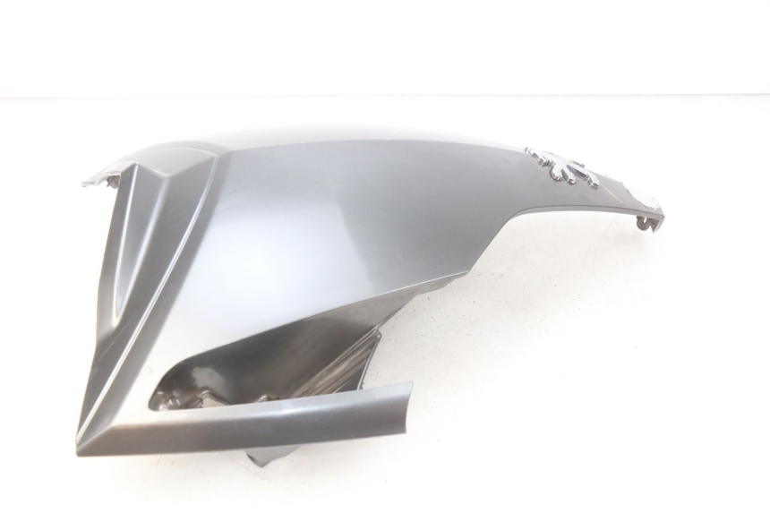 photo de PARTE FRONTAL SUPERIOR PEUGEOT GEOPOLIS 400 (2007 - 2013) - Pontos de fixação