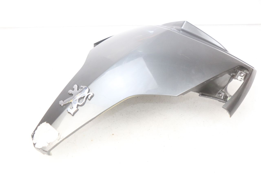 photo de PARTE FRONTAL SUPERIOR PEUGEOT GEOPOLIS 400 (2007 - 2013) - Peça verificada
