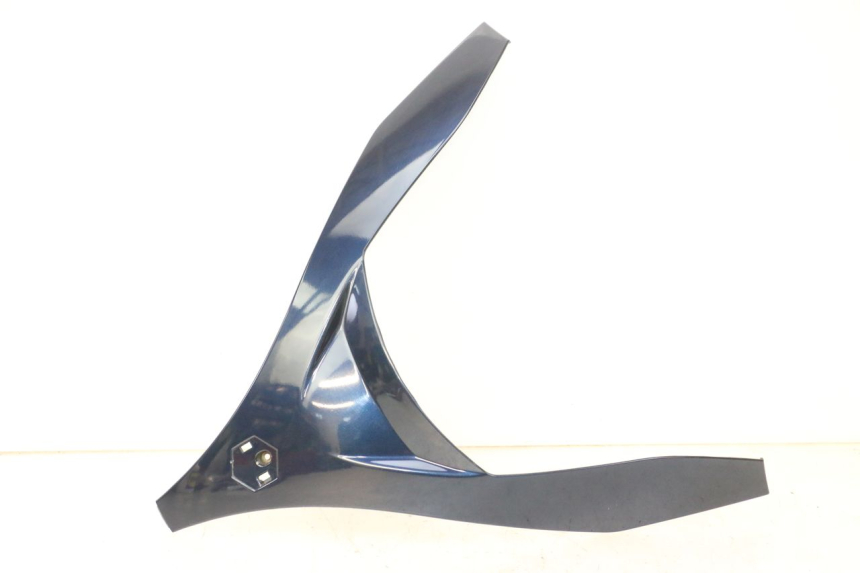 photo de PARTE FRONTAL SUPERIOR PIAGGIO MP3 RL 250 (2006 - 2010) - Vista principal