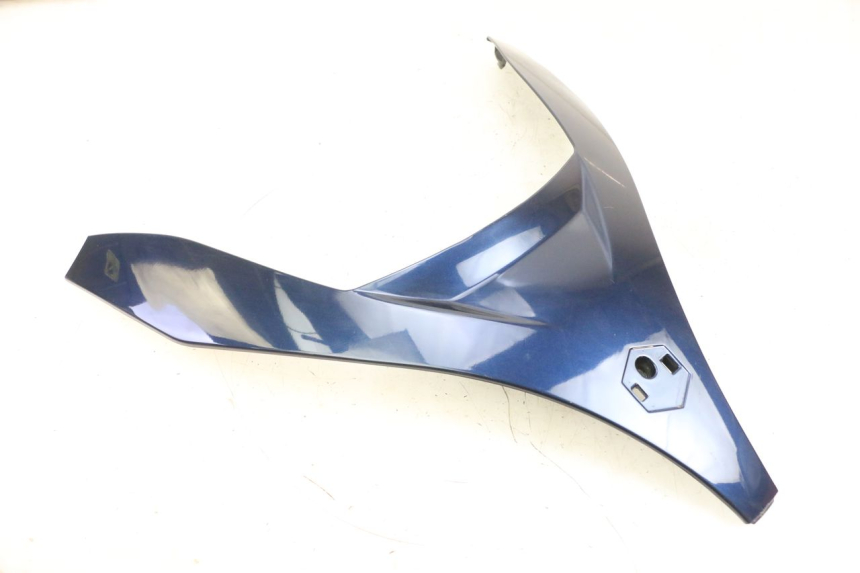 photo de PARTE FRONTAL SUPERIOR PIAGGIO MP3 RL 250 (2006 - 2010) - Vista principal