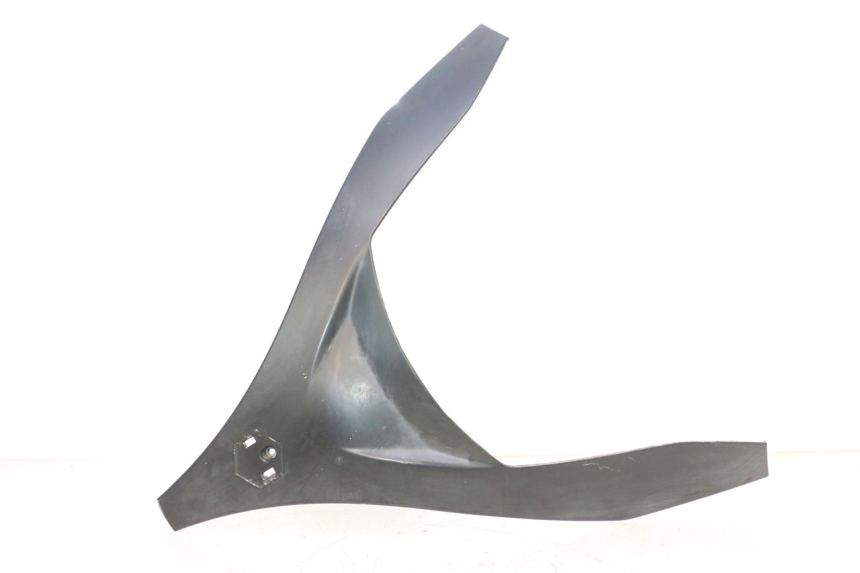 photo de PARTE FRONTAL SUPERIOR PIAGGIO MP3 RL 250 (2006 - 2010) - Vista principal