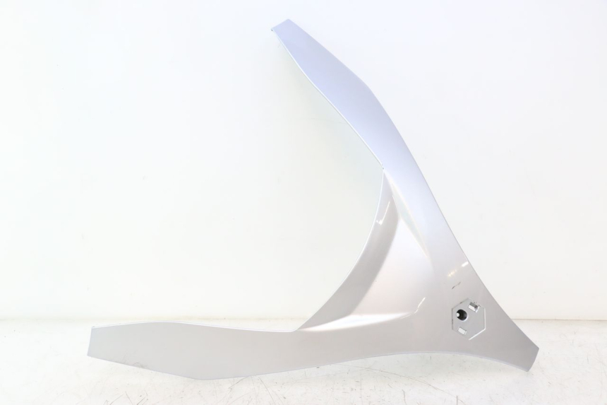 photo de PARTE FRONTAL SUPERIOR PIAGGIO MP3 125 (2006 - 2014) - Vista principal