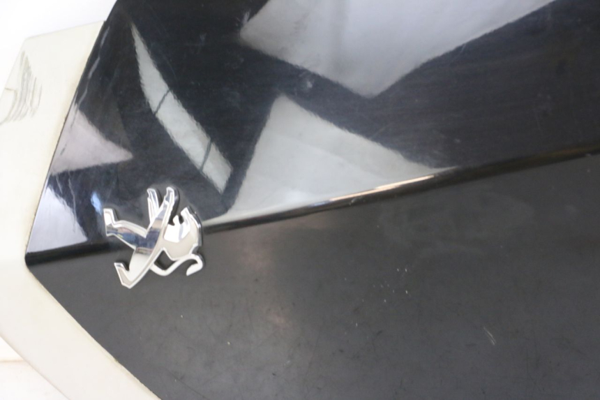 photo de PARTE FRONTAL SUPERIOR PEUGEOT VIVACITY 125 (2010 - 2017) - Vista geral