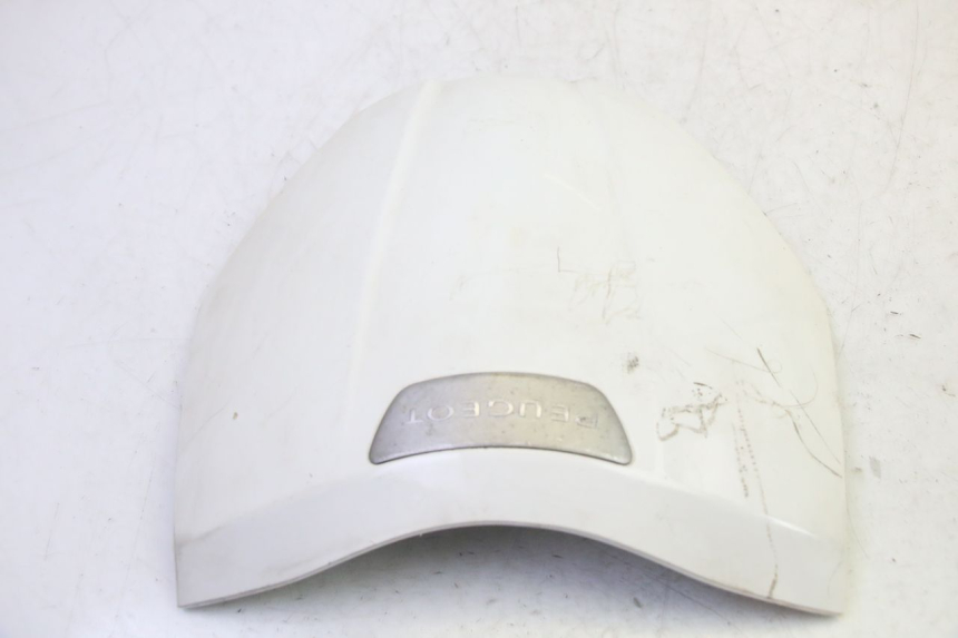 photo de PARTE FRONTAL SUPERIOR PEUGEOT TWEET PRO EFI 4T 50 (2021 - 2022) - Ampliação técnica