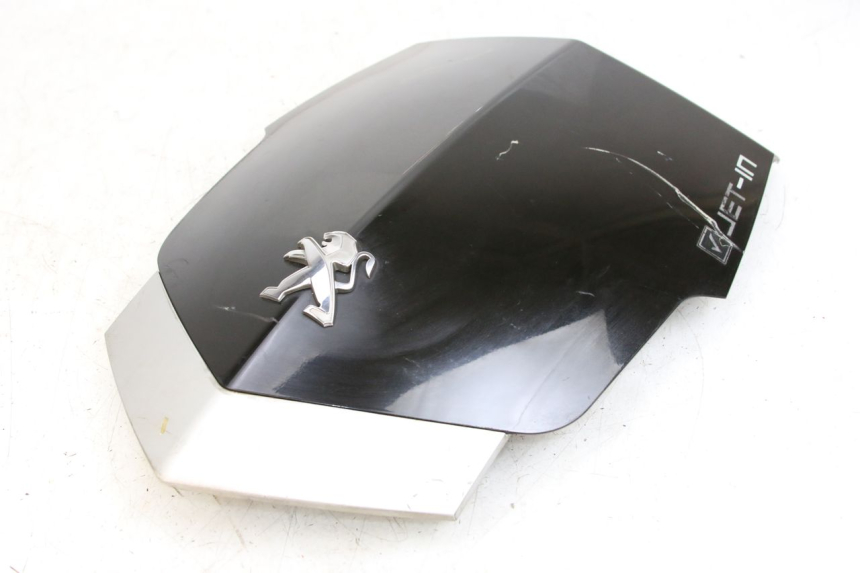 photo de PARTE FRONTAL SUPERIOR PEUGEOT VIVACITY 125 (2010 - 2017) - Vista geral