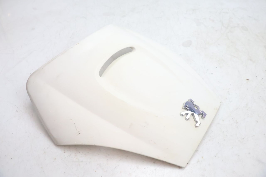 photo de FACE FRONTAL SUPERIOR PEUGEOT VIVACITY 100 (1999 - 2008) - Detalhe da peça