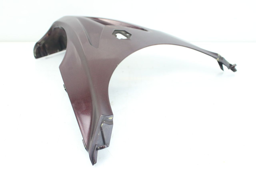 photo de PARTE FRONTAL SUPERIOR PIAGGIO X9 EVOLUTION 125 (2003 - 2007) - Vista geral
