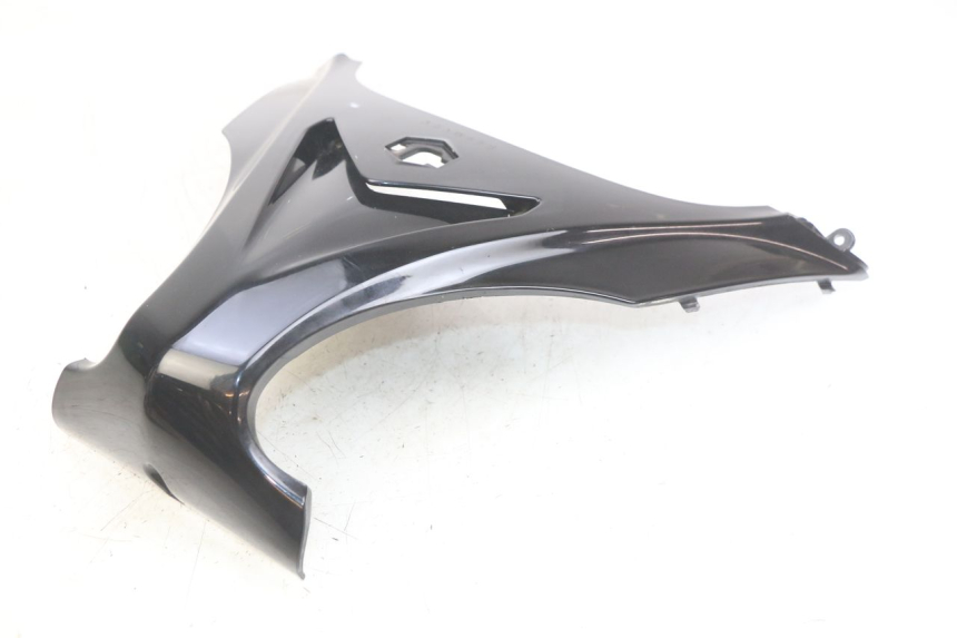 photo de PARTE FRONTAL SUPERIOR PIAGGIO X9 EVOLUTION 125 (2003 - 2007) - Vista geral