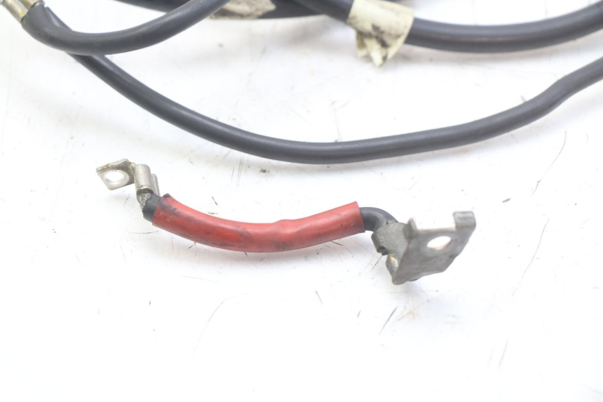 photo de Fiação da bateria HONDA FES PANTHEON 2T 125 (1998 - 2002) - Detalhe da peça
