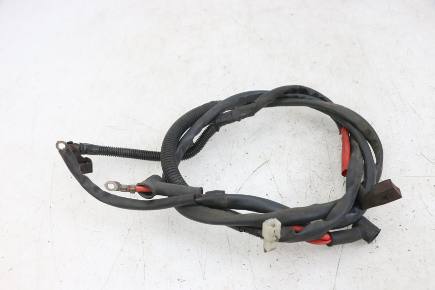 photo de Fiação da bateria YAMAHA X-MAX XMAX 250 (2006 - 2009) - Detalhe da peça