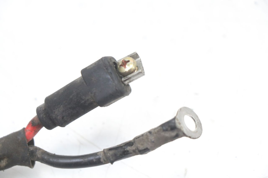 photo de Fiação da bateria PIAGGIO ZIP 2T 50 (2009 - 2019) - Detalhe da peça