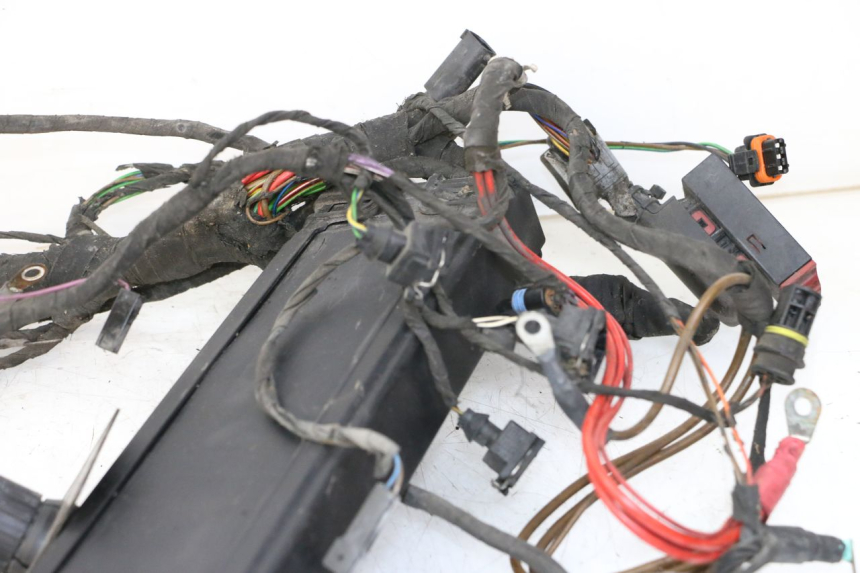 photo de FAIXA DE CABOS BMW C1 125 (2000 - 2003) - Zoom de qualidade