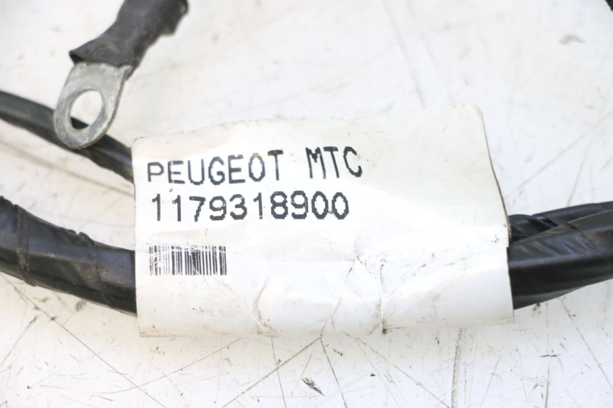 photo de FAIXA DE CABOS PEUGEOT CITYSTAR 2T 50 (2018 - 2021) - Outro ângulo de visão