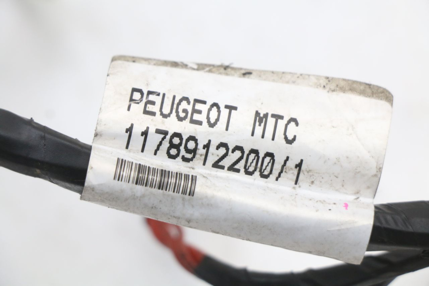 photo de FAIXA DE CABOS PEUGEOT CITYSTAR 50 (2013 - 2017) - Detalhe da peça