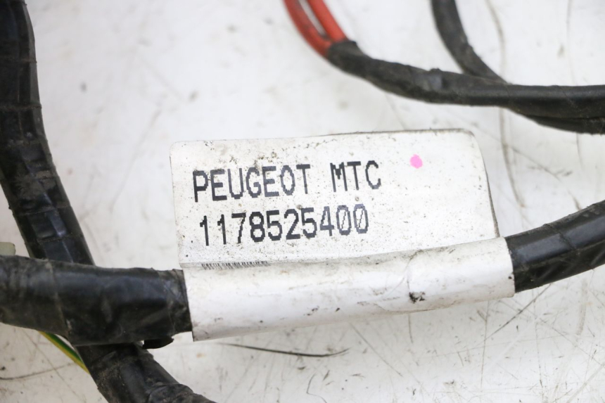 photo de FAIXA DE CABOS PEUGEOT CITYSTAR 50 (2013 - 2017) - Detalhe da peça