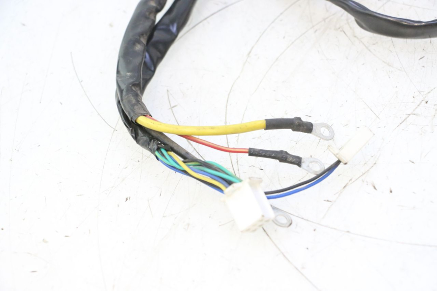 photo de FAIXA DE CABOS WAYSCRAL E-START 1 (2018 - 2022) - Detalhes característicos