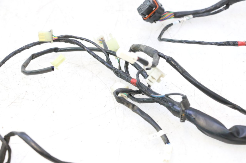 photo de FAIXA ASKOLL ESPRO 1 - Ampliação dos componentes