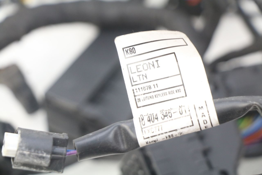 photo de FAIXA DE CABOS BMW F GS K81 850 (2018 - 2023) - Detalhe da peça