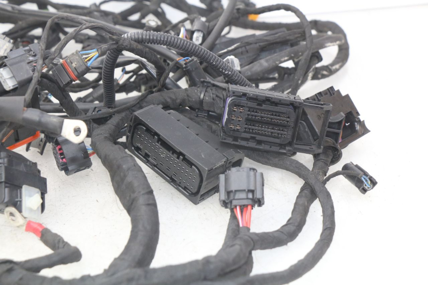 photo de FAIXA DE CABOS BMW F GS K81 850 (2018 - 2023) - Ampliação técnica
