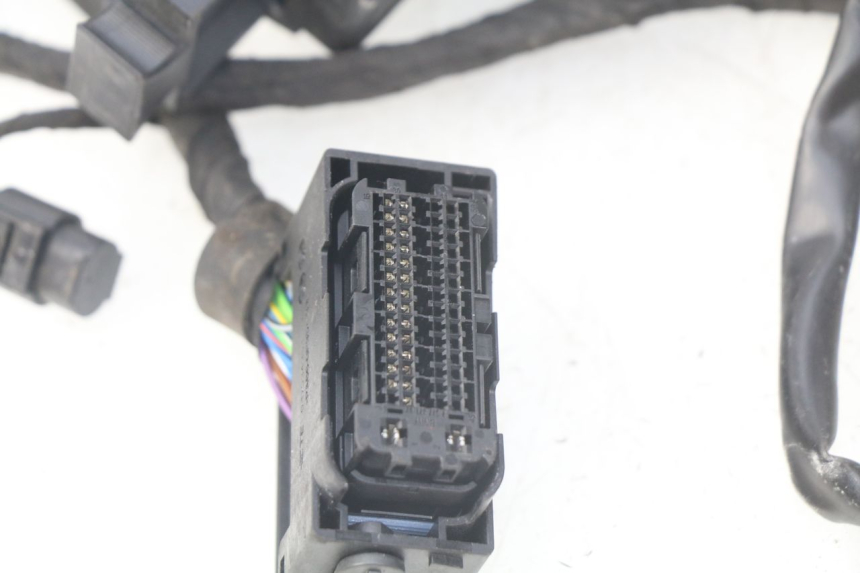 photo de FAIXA DE CABOS BMW F GS K81 850 (2018 - 2023) - Vista geral