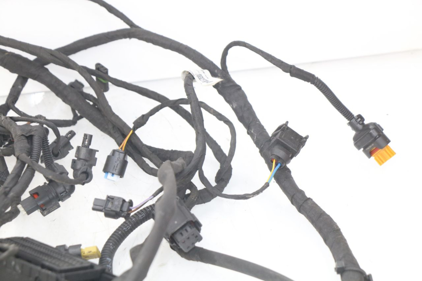photo de FAIXA DE CABOS BMW F GS K81 850 (2018 - 2023) - Pontos de fixação