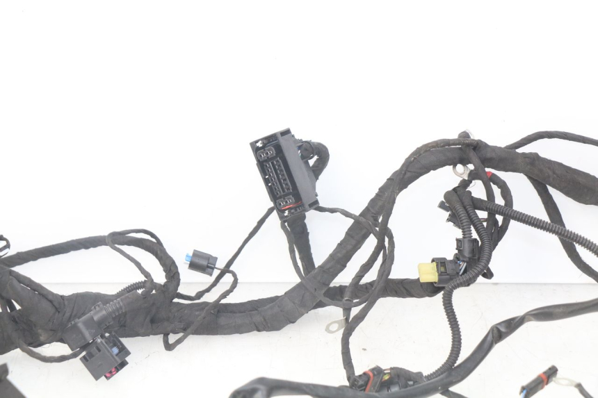 photo de FAIXA DE CABOS BMW F GS K81 850 (2018 - 2023) - Peça verificada