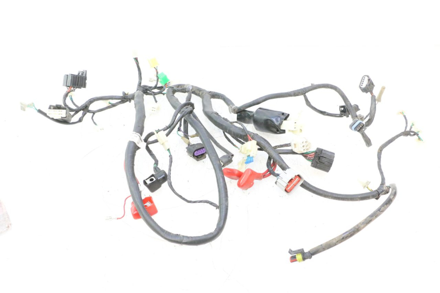 photo de FAIXA DE CABOS JM MOTORS F45i 4T 50 (2020 - 2023) - Vista principal