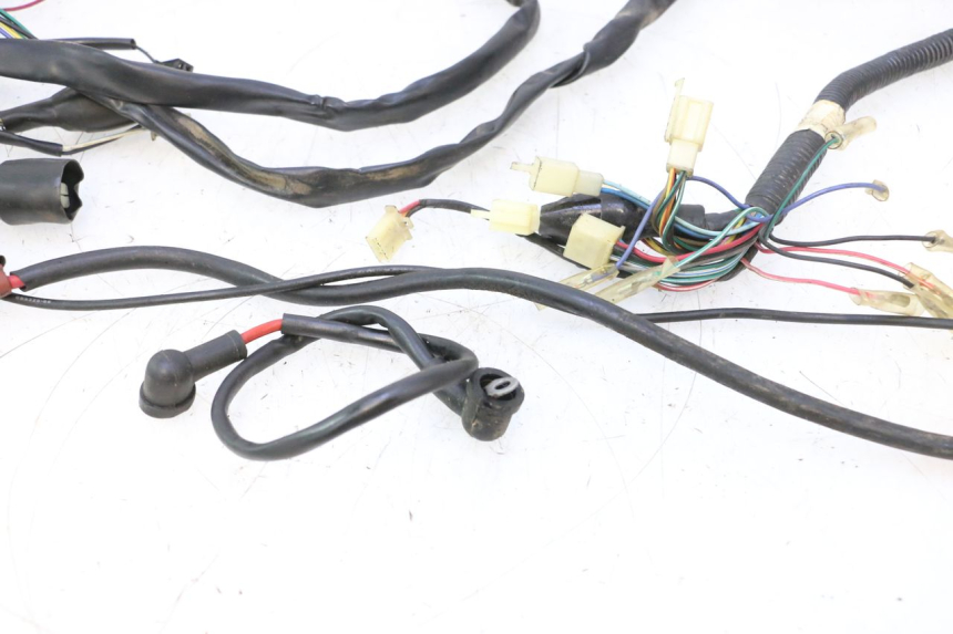 photo de FAIXA KEEWAY FOCUS 50 (2006 - 2009) - Detalhes característicos