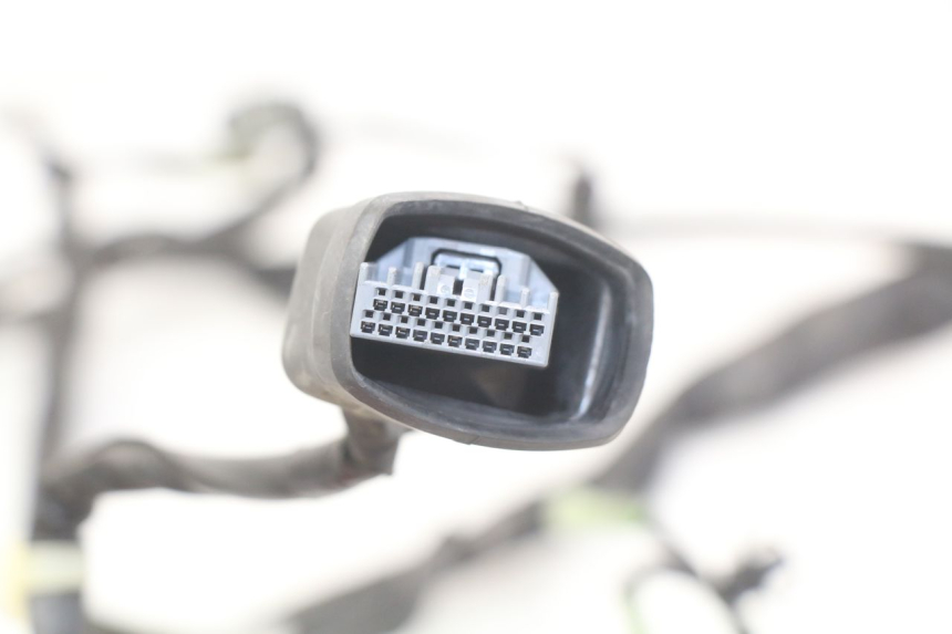 photo de FAIXA DE CABOS HONDA FORZA 125 (2015 - 2016) - Peça verificada