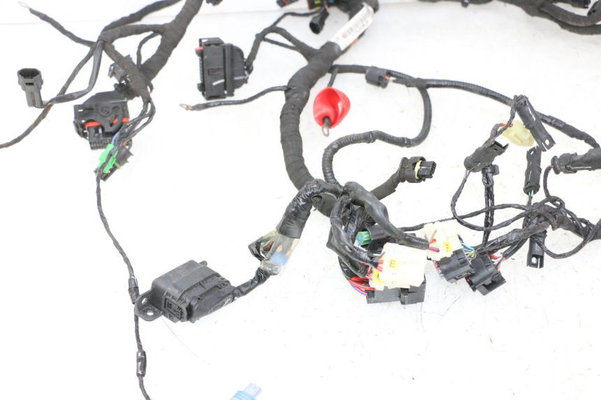 photo de FAIXA DE CABOS BMW G310 R 310 (2016 - 2020) - Marcações e referências