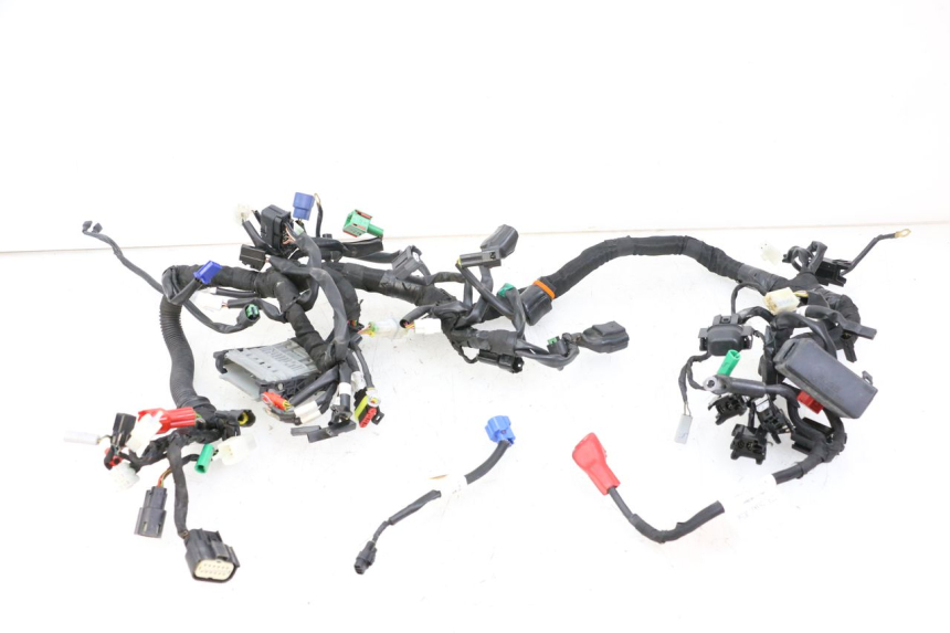 photo de FAIXA DE CABOS HUSQVARNA SVARTPILEN 401 (2018 - 2023) - Vista principal