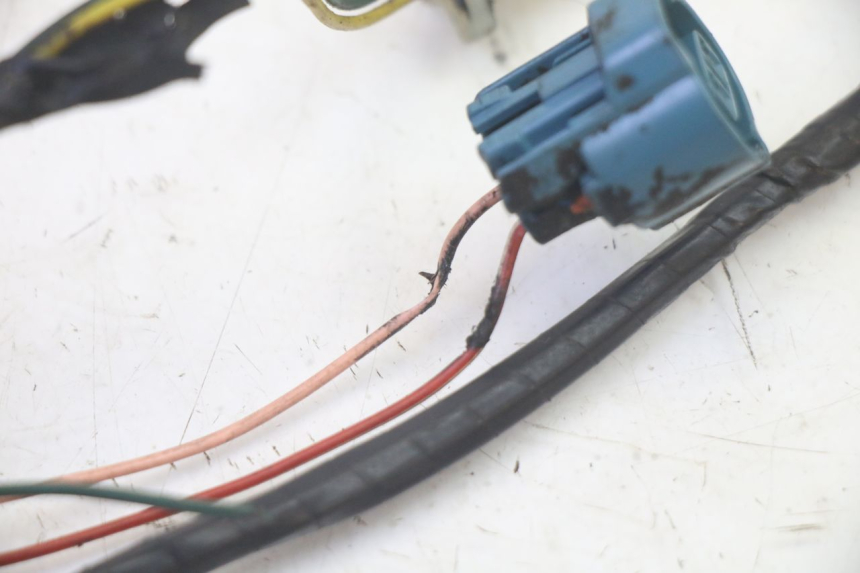 photo de FAIXA DE CABOS PEUGEOT LUDIX 50 (2008 - 2017) - Ampliação técnica