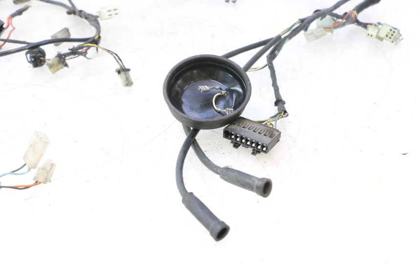 photo de FAIXA PEUGEOT LUDIX PRO 2T 50 (2010 - 2017) - Detalhe da peça