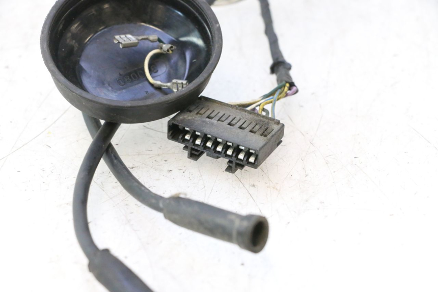 photo de FAIXA PEUGEOT LUDIX PRO 2T 50 (2010 - 2017) - Zoom do estado de desgaste