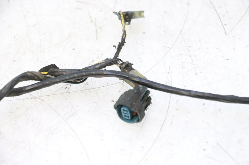 photo de FAIXA PEUGEOT LUDIX PRO 2T 50 (2010 - 2017) - Peça verificada