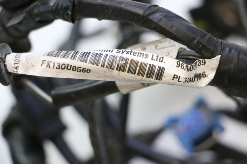 photo de FAIXA DE CABOS PIAGGIO MP3 LT 300 (2010 - 2016) - Detalhe da peça