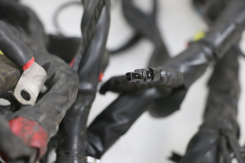 photo de FAIXA DE CABOS PIAGGIO MP3 RL 250 (2006 - 2010) - Detalhe da peça